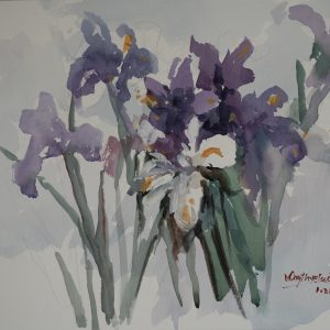 Watercolour painting. Irises, Singapore, 2020